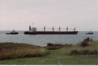 thm_Sommer2003 037.jpg